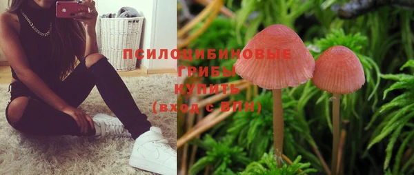 скорость mdpv Горнозаводск